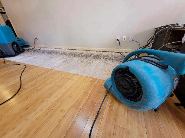Professional Water Removal technician working in Reidville, SC